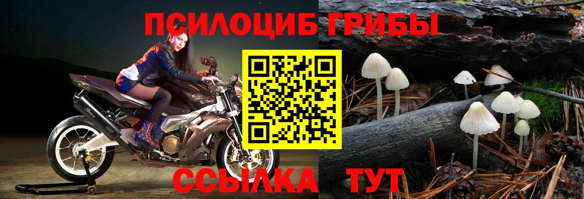 Избербаш  Псилоцибиновые грибы мицелий  Псилоцибиновые грибы мухоморы  Вход с VPN 